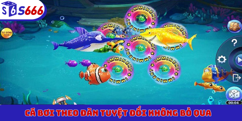 Cá bơi theo đàn tuyệt đối không bỏ qua