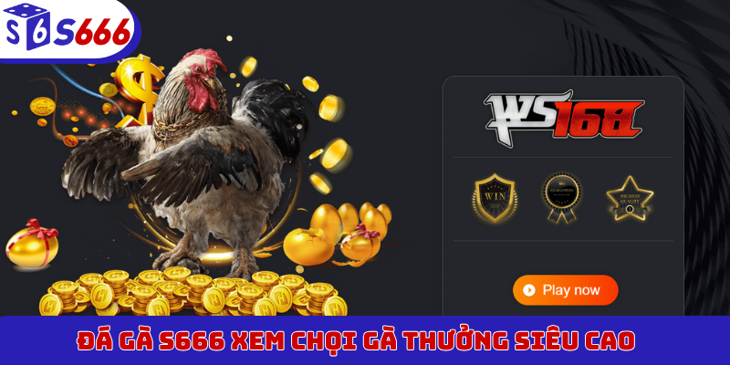 Đá gà S666 xem chọi gà thưởng siêu cao