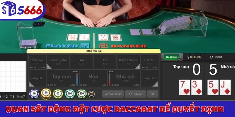 Quan sát dòng đặt cược Baccarat để quyết định