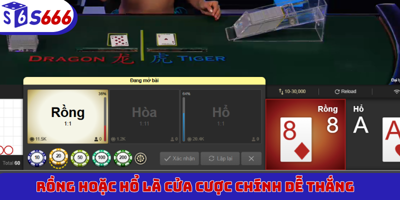 Rồng hoặc hổ là cửa cược chính dễ thắng